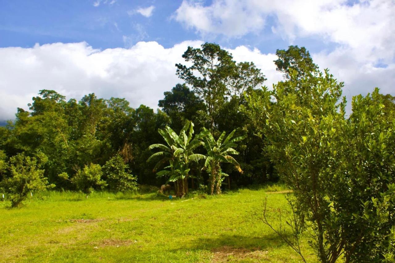 Lorenzo'S Farm And Leisure Santo Tomas Buitenkant foto