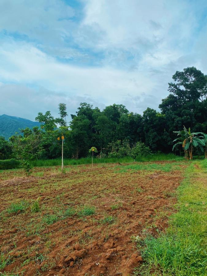 Lorenzo'S Farm And Leisure Santo Tomas Buitenkant foto