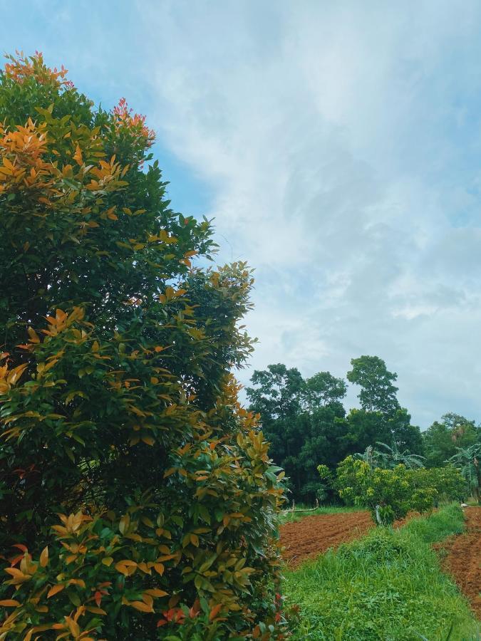 Lorenzo'S Farm And Leisure Santo Tomas Buitenkant foto